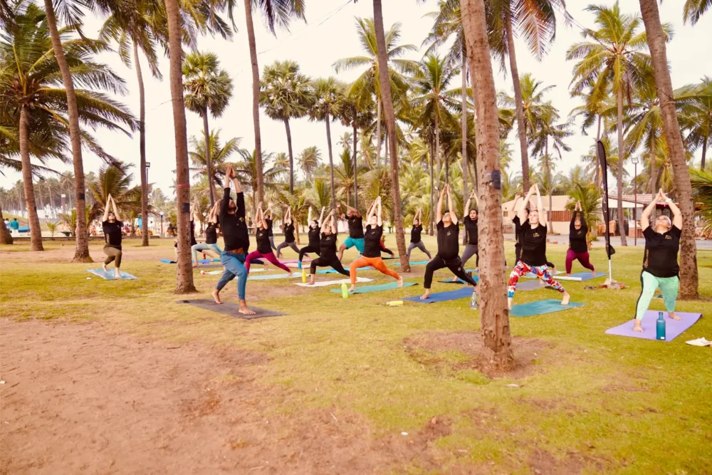 Online Yoga Classes Chennai with goof review 